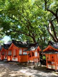 古韻回響：住吉大社的靜謐祈願
