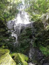 2天玩盡日本精華快收藏不怕遺漏