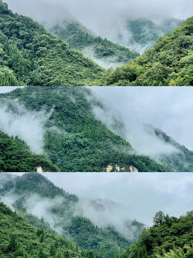 清明帶娃遊重慶-三峽-宜昌親子旅行好去處