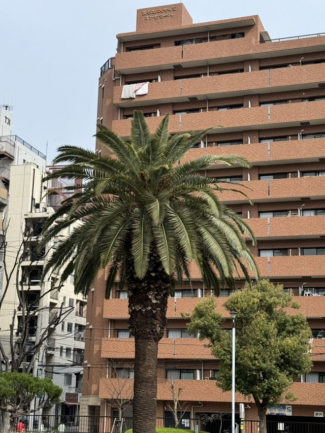 大阪綠洲：中大江公園的靜謐與驚喜 🌿