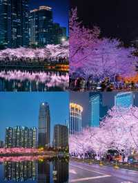 武漢兩日遊！！賞櫻輕旅攻略～