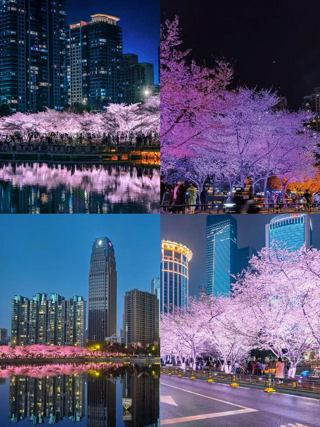 武漢兩日遊！！賞櫻輕旅攻略～