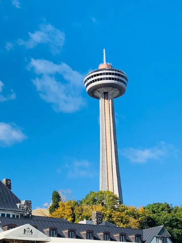 캐나다 5일 여행 완벽 가이드, 지금 바로 저장해 두세요!