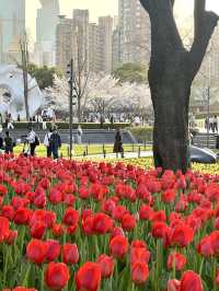 免費賞花打卡勝地！地鐵直達超方便