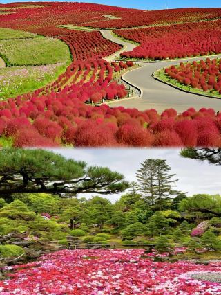 Tokyo Weekend Getaway | One-Day Trip to Ashikaga
