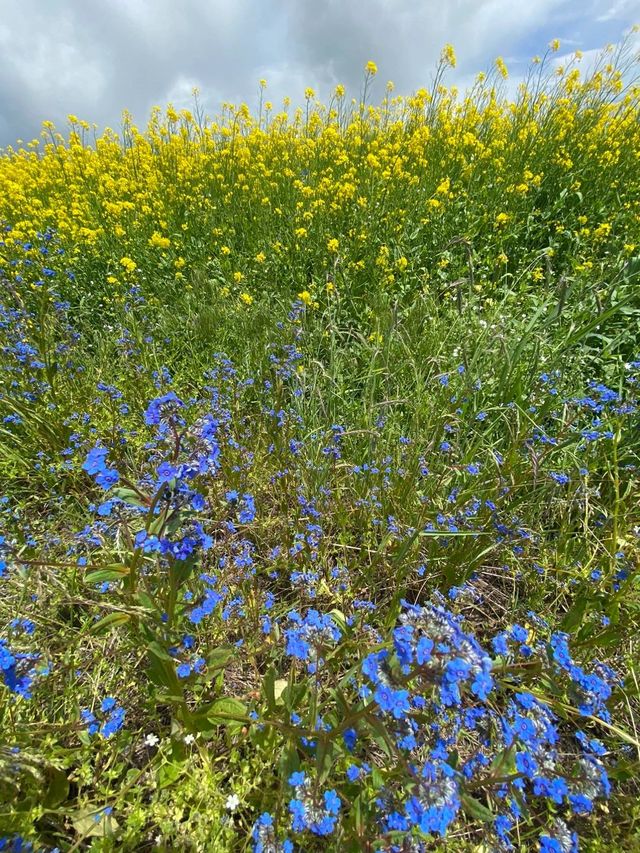 西寧等地4日遊 玩轉大西北的精華