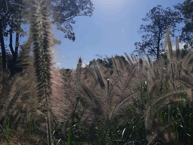 To be Alone with Nature