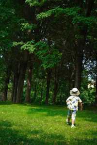 石家莊市區的森林!|藏在二環內的綠野仙蹤!