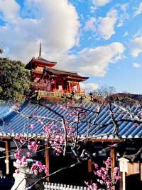 衣袂染上唐朝韻味，木屐輕敲京町——將京都的顏色穿在身上