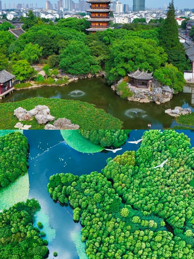 常來常熟，睇夜景，快樂加倍