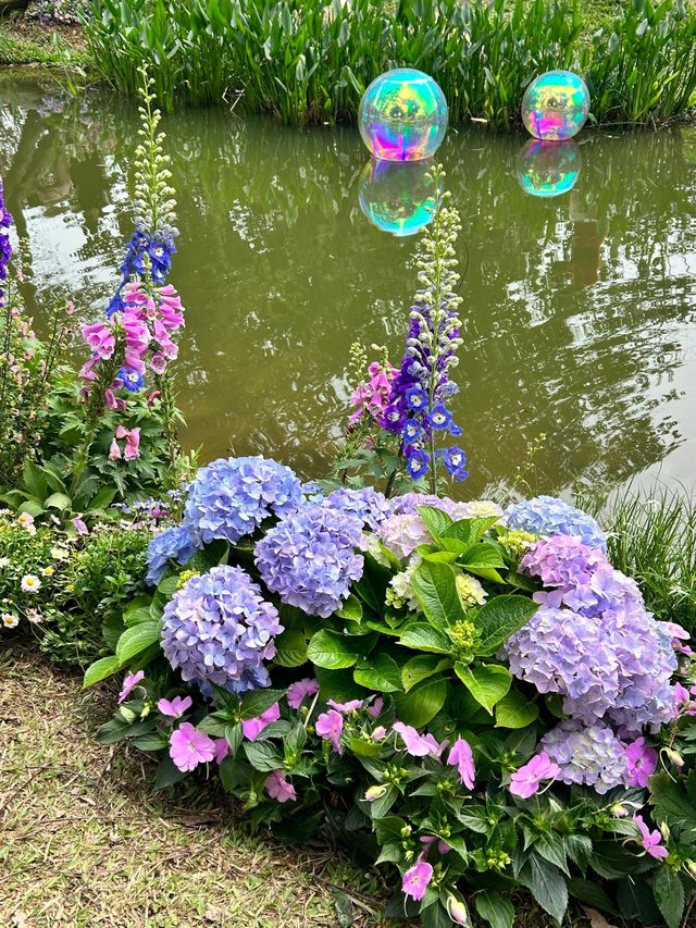 深圳人民公園 | 莫奈秘境花園🫧春日氣氛感  這是深圳市內最早的公園之一，安靜人少，閒暇時來這