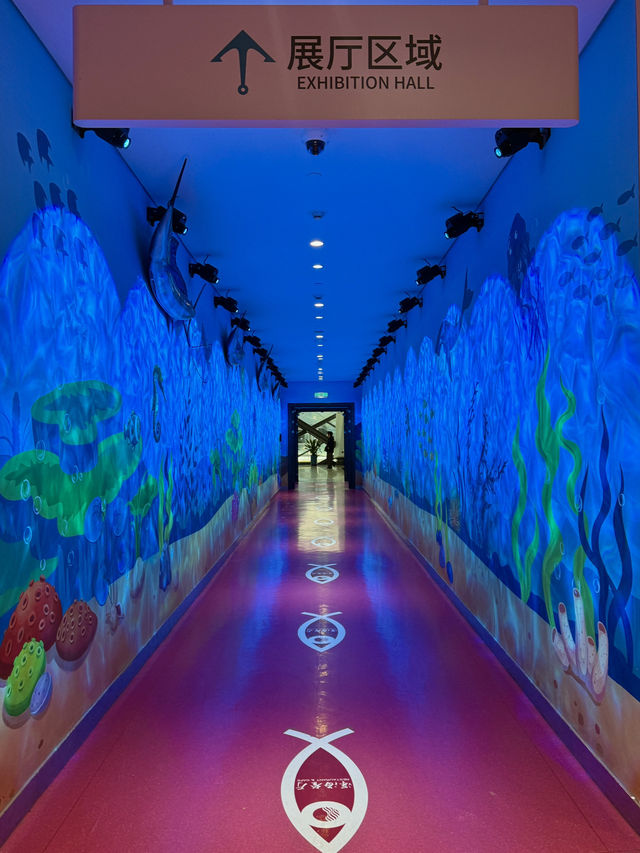 人生建議：一定要來趟國家海洋博物館‼️