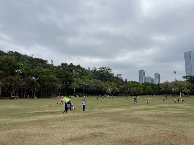 深圳蓮花山公園，登高俯瞰城市天際線🌆