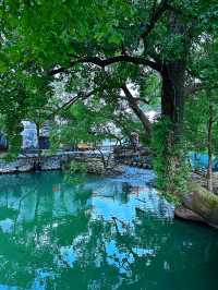 韓劇同款油菜花海|春日婺源超全旅遊攻略