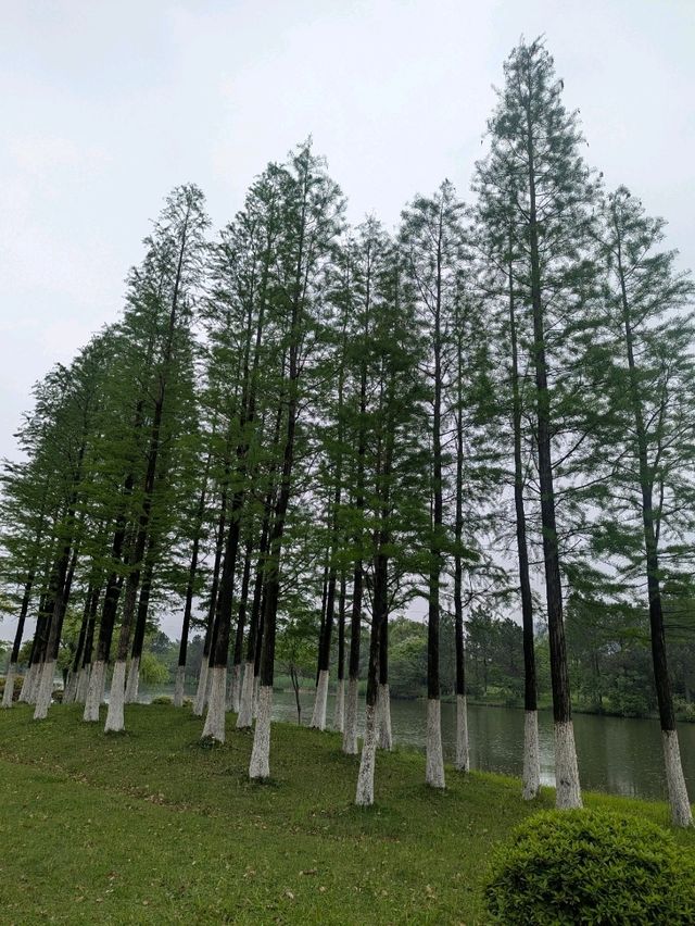 XiangHu park 