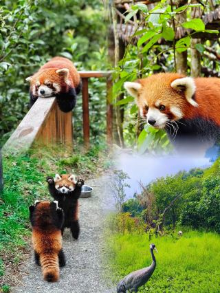 May Day Family Trip: Skip the Usual Routes! Visit These Unique and Exciting Places for Enhanced Fun