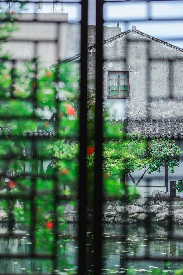 四月藝圃春色美