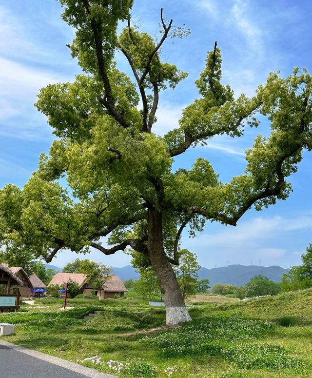 良渚公園
