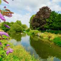 River Freshney: A Hidden Wildlife Gem in Grimsby
