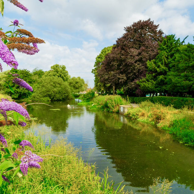 River Freshney: A Hidden Wildlife Gem in Grimsby