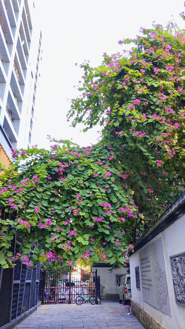 《中山路有咩好玩？》