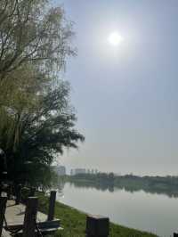 Luboyuan Nanjing: a mini Netherlands to see tulip 🌷