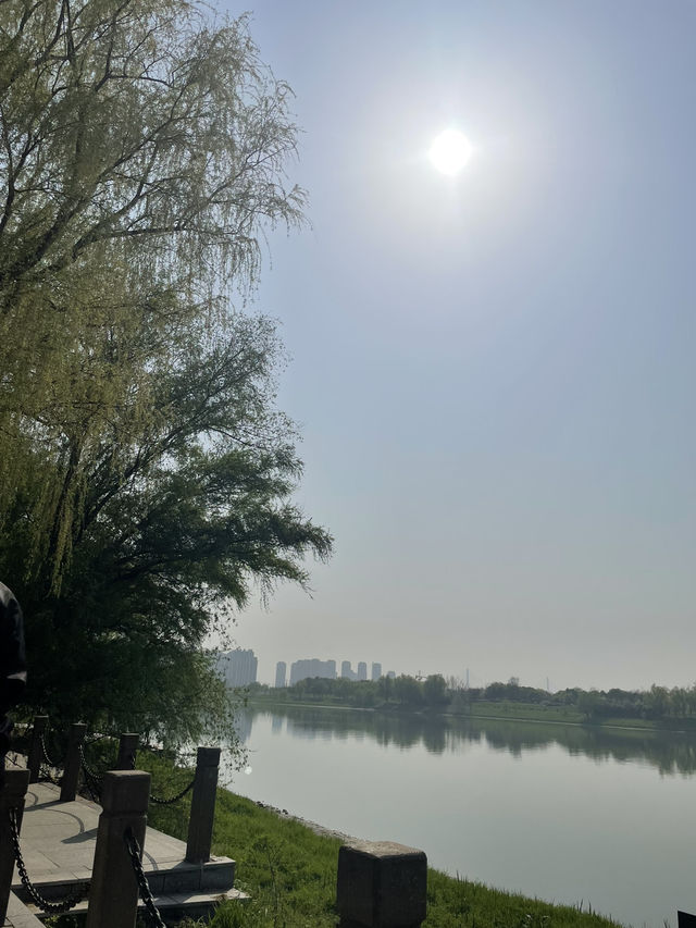 Luboyuan Nanjing: a mini Netherlands to see tulip 🌷