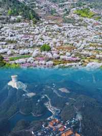 搖櫓鑑湖漫步沈園解鎖紹興嘅詩意慢生活