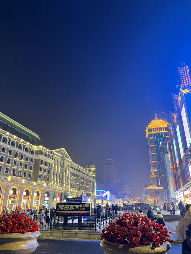 Icy Harbin 🥶