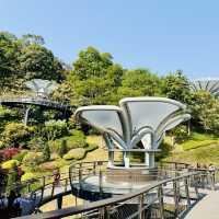 Discover Yunluo Botanical Garden – Guangzhou’s Newest Urban Oasis!