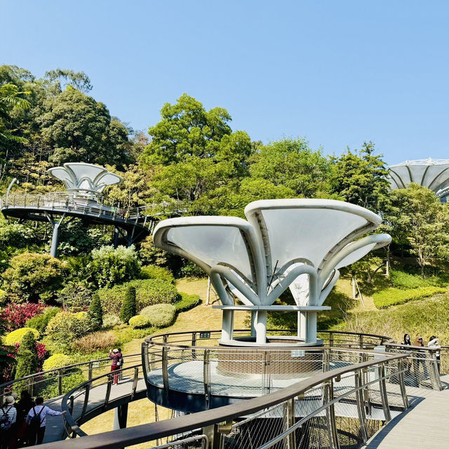 Discover Yunluo Botanical Garden – Guangzhou’s Newest Urban Oasis!