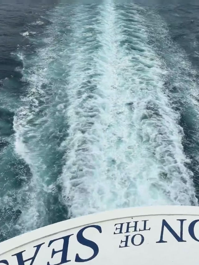 皇家加勒比贊禮號真實大揭秘！中國胃VS白人飯的終極對決🌊