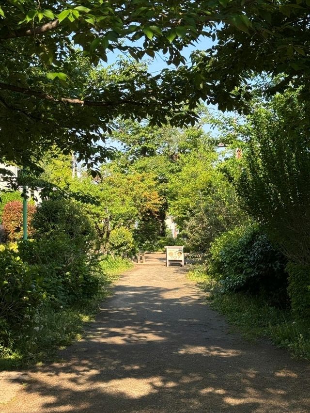 你知道嗎？東京有許多橫穿城市的超長綠道