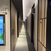 邂逅香港萌寵樂園✨本舍酒店帶毛孩開啟愜意旅居