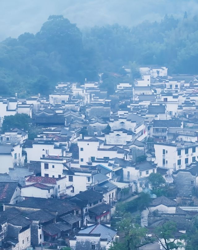 江西婺源不踩雷旅遊攻略 