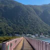 從澳門出發衝香港大澳漁村🌊！40蚊換一場金光閃閃的海上奇遇