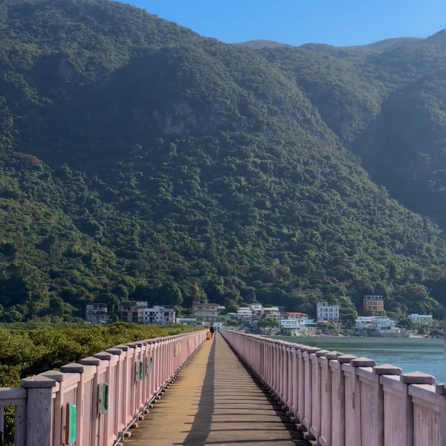 從澳門出發衝香港大澳漁村🌊！40蚊換一場金光閃閃的海上奇遇