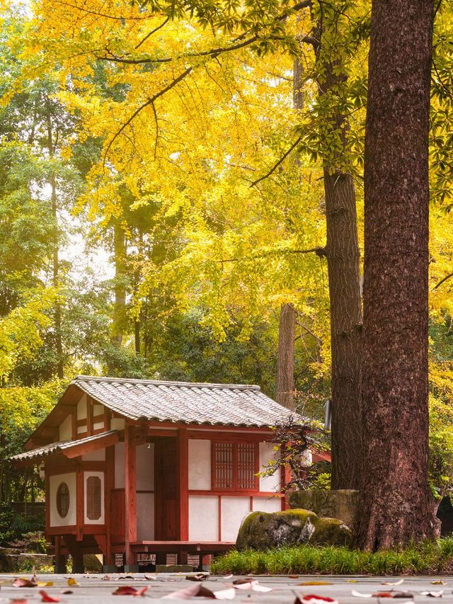 甘孜等地旅遊4天不繞路