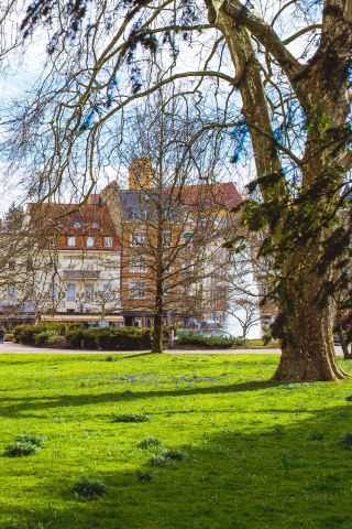 Baden-Baden, Germany｜Soak in Ancient Roman Springs & Slow Life by the Black Forest