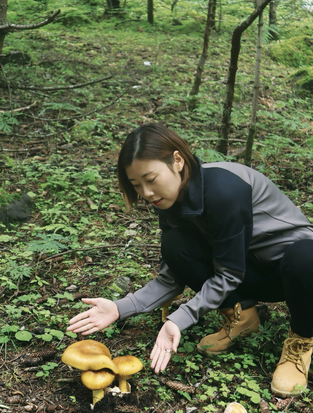 喺雨崩除咗行山，仲有咩隱藏玩法？