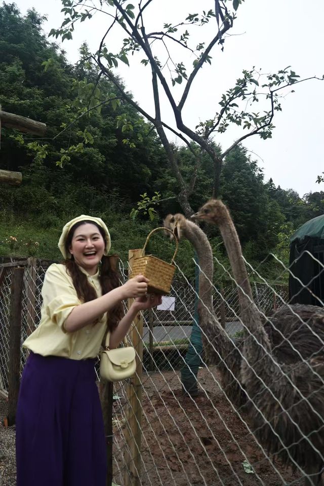 端午入住十里芳菲｜快樂指數直線上升呢