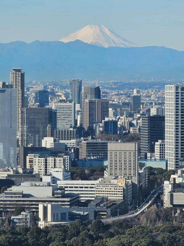 東京安縵｜住進雲端禪意宮殿✨