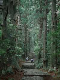 熊野古道｜遇見神明散步嘅森林