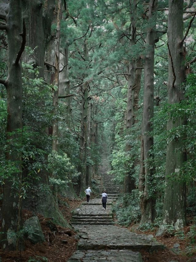 熊野古道｜遇見神明散步嘅森林