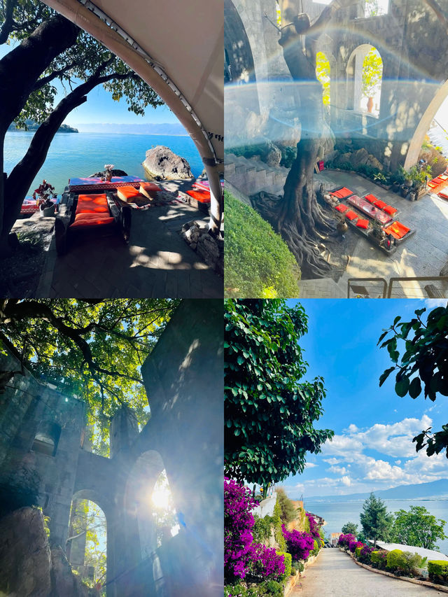 大理不是解藥，是中毒的開始