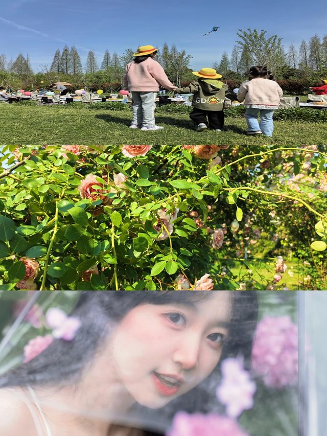 揚州千畝松林避暑，繡球花海靚到入心