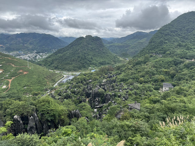 Jade stone forest 