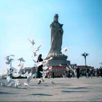 流金古韻遇海天：天津媽祖廟與觀瀾角的晨昏戀曲在渤海灣畔