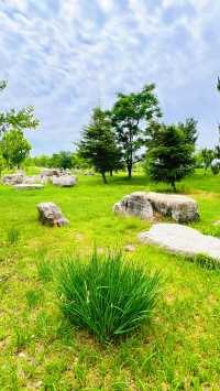 夏日暢遊煙台牟平沁水河口國家濕地公園