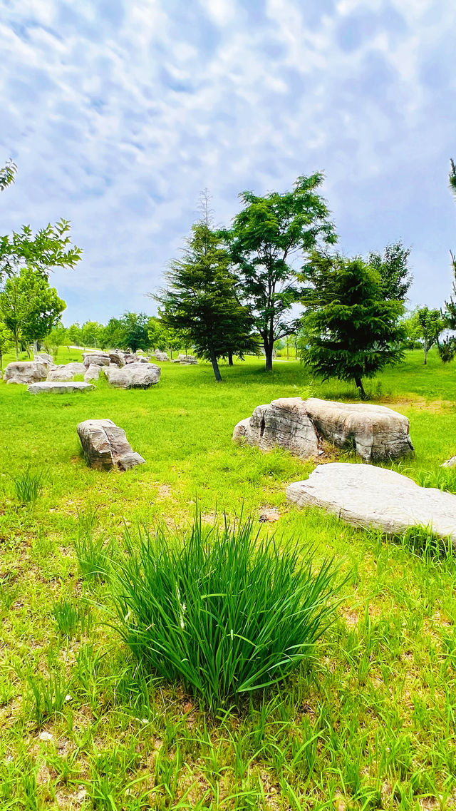 夏日暢遊煙台牟平沁水河口國家濕地公園